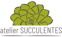 Atelier Succulentes